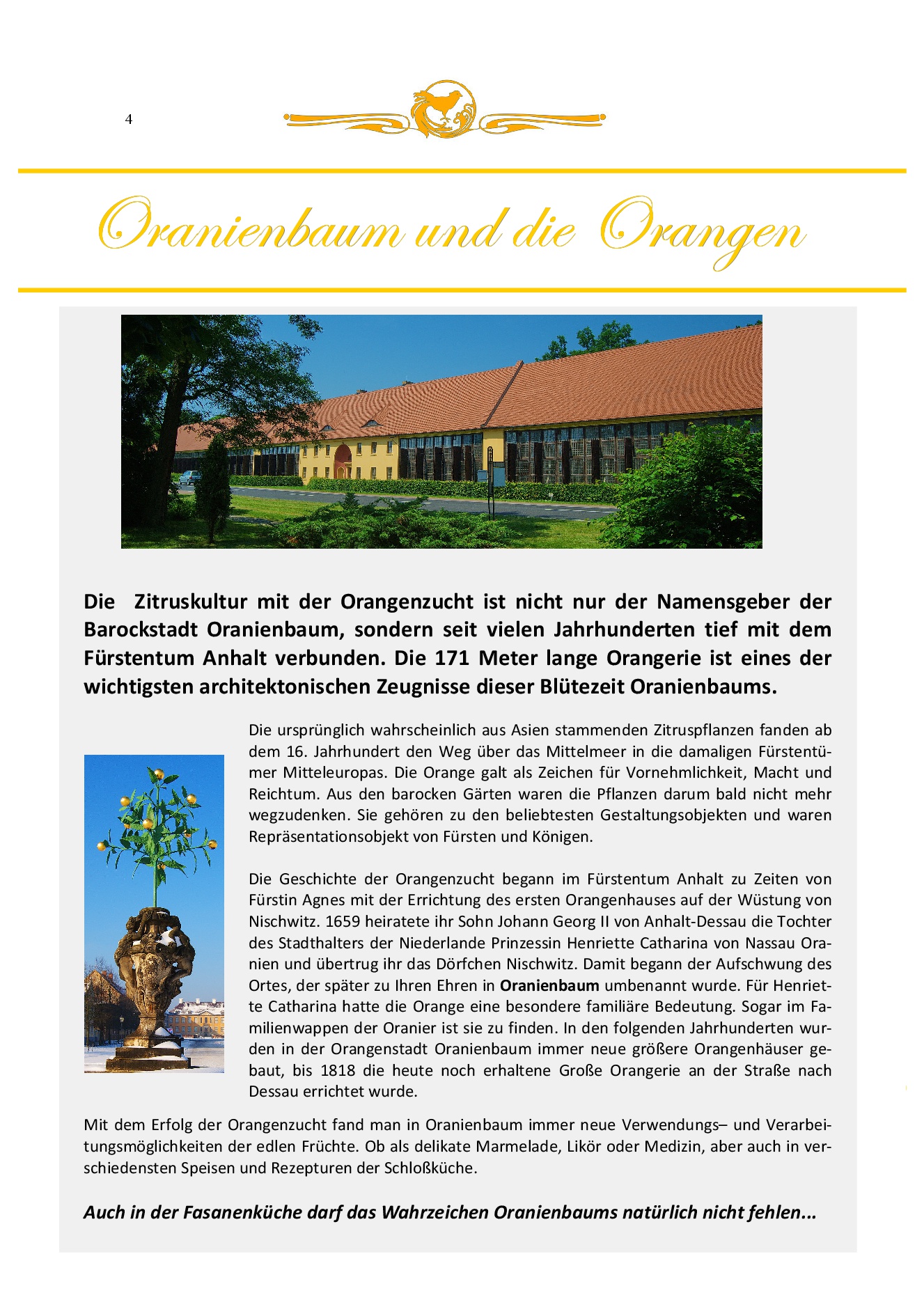 Orangerie und Schloss Oranienbaum direkt am Hotel Goldener Fasan